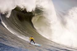 凯恩刷新里程碑，广东男篮抢七大战力克广厦男篮，晋级概率达95％的简单介绍